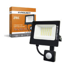 Прожектор EVROLIGHT FM-01D-30 30W 6400К