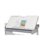 Парта Mealux Hamilton Multicolor Grey Lite (BD-680 W/G MC Lite) Парта Mealux Hamilton Multicolor Grey Lite (BD-680 W/G MC Lite)
