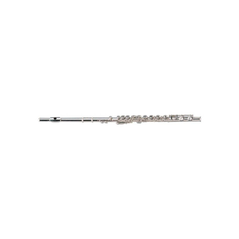 Флейта Maxtone TFC60N