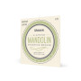 Струни для гітари D'Addario Mandolin Phosphor Bronze Medium/Heavy (11.5-41) (EJ75) Струни для гітари D'Addario Mandolin Phosphor Bronze Medium/Heavy (11.5-41) (EJ75)