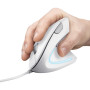 Мишка Trust Verto Ergonomic USB White (25133) Мишка Trust Verto Ergonomic USB White (25133)