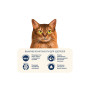 Сухий корм для кішок Home Food Healthy skin and shiny coat з індичкою та лососем 10 кг (4820235020569) Сухий корм для кішок Home Food Healthy skin and shiny coat з індичкою та лососем 10 кг (4820235020569)