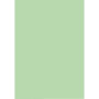 Папір Buromax А4, 80g, PASTEL light green, 20 sheets, 80g (BM.2721220-15)