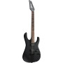 Електрогітара Ibanez RGRT421 WK (226617)