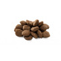 Сухий корм для собак Brit Premium Dog Sensitive Lamb 1 кг (8595602526611) Сухий корм для собак Brit Premium Dog Sensitive Lamb 1 кг (8595602526611)