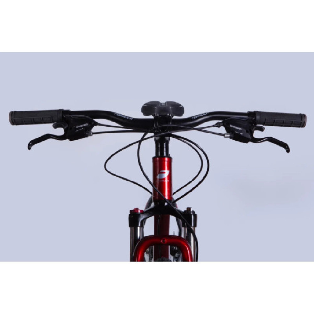 Велосипед Formula 29" F-1 DD CS рама-21" AL 2026 червоно-сірий (OPS-FR-29-437)