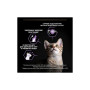 Сухий корм для кішок Purina Pro Plan Original Kitten з куркою 400 г (7613036545099) Сухий корм для кішок Purina Pro Plan Original Kitten з куркою 400 г (7613036545099)