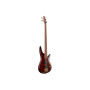 Бас-гітара Ibanez SR300EDX WZM (236705) Бас-гітара Ibanez SR300EDX WZM (236705)