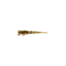 Силікон рибальський FishUP Flit 2" 074 - Green Pumpkin Seed (9шт/уп) (1862.00.84)