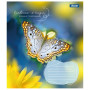 Зошит 1 вересня А5 1В Butterfly 36 аркушів клітинка (767323) Зошит 1 вересня А5 1В Butterfly 36 аркушів клітинка (767323)