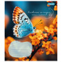 Зошит 1 вересня А5 1В Butterfly 36 аркушів клітинка (767323) Зошит 1 вересня А5 1В Butterfly 36 аркушів клітинка (767323)