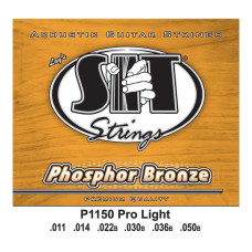 Струни для гітари SIT Strings P1150 (11-50) (226926)