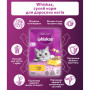 Сухий корм для кішок Whiskas з куркою 800 г (5998749144367/5900951355929)