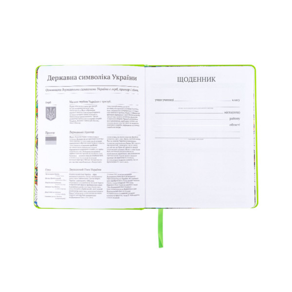 Щоденник шкільний Kite Ninja Turtles, тверда обкладинка (NT25-264)