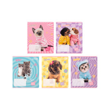 Зошит Kite Studio Pets, 12 аркушів, клітинка (SP25-232)