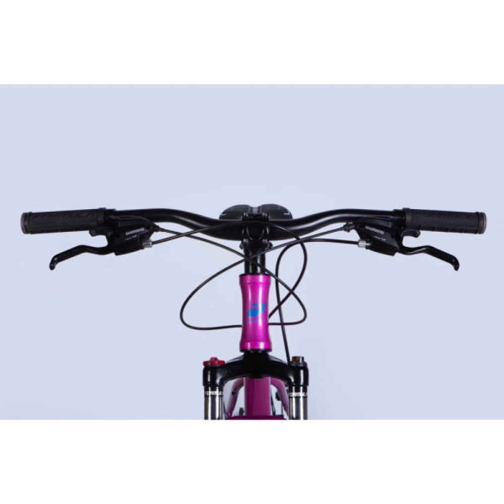 Велосипед Formula 26" ALPINA DD FR рама-15" AL 2026 рожево-синій (OPS-FR-26-805)