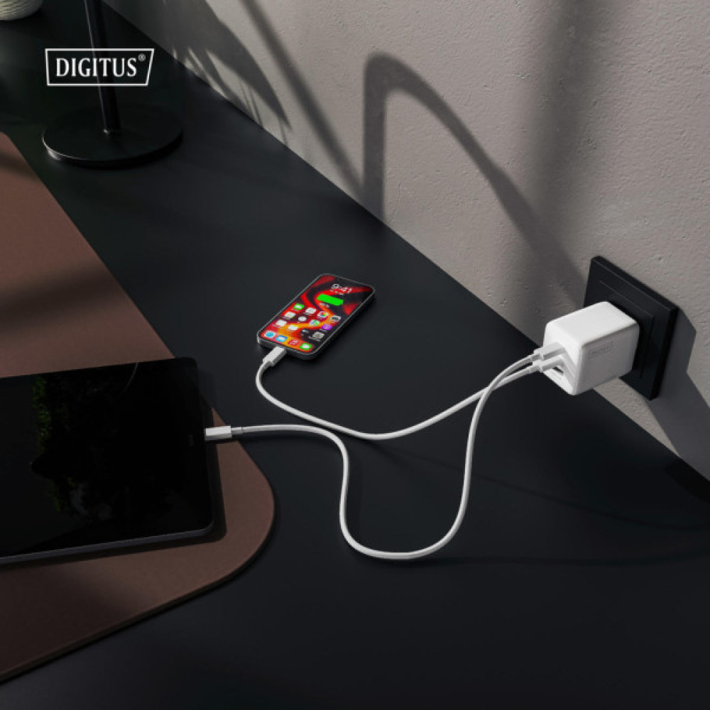 Зарядний пристрій Digitus 2xUSB-C + 1xUSB-A GaN 100W (DA-10304)