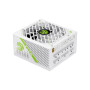 GAMEMAX GX-750 PRO WH(ATX3.1PCIe5.1)