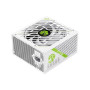 GAMEMAX GX-750 PRO WH(ATX3.1PCIe5.1)