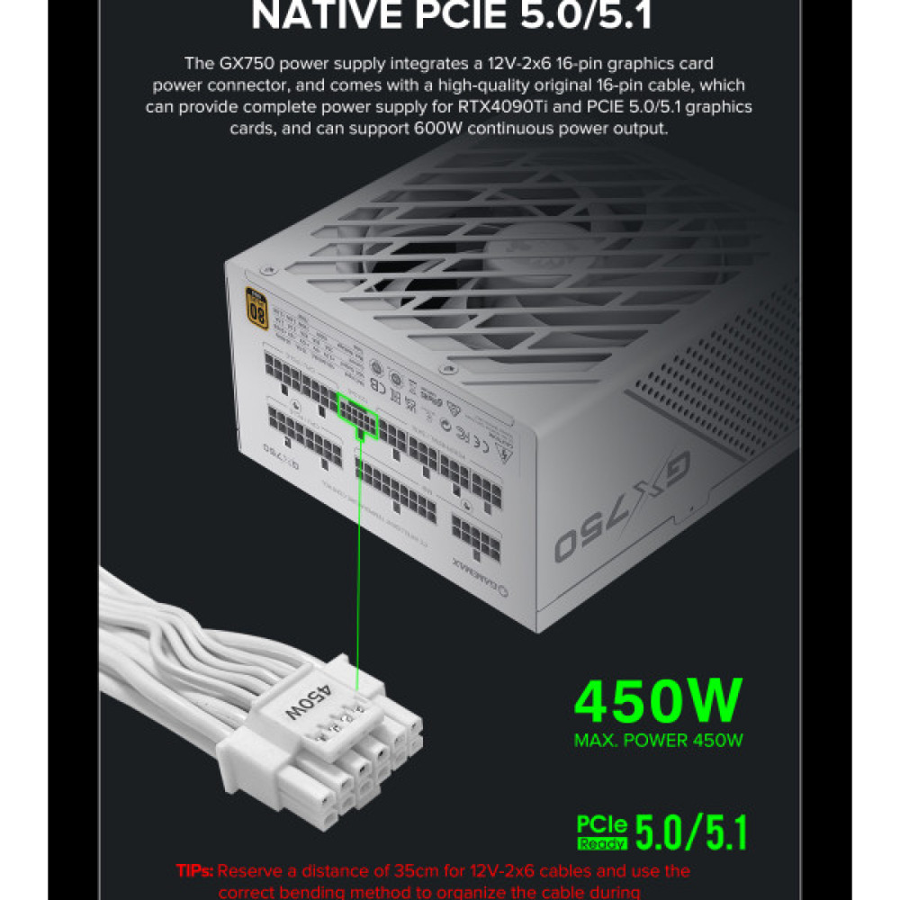 GAMEMAX GX-750 PRO WH(ATX3.1PCIe5.1)