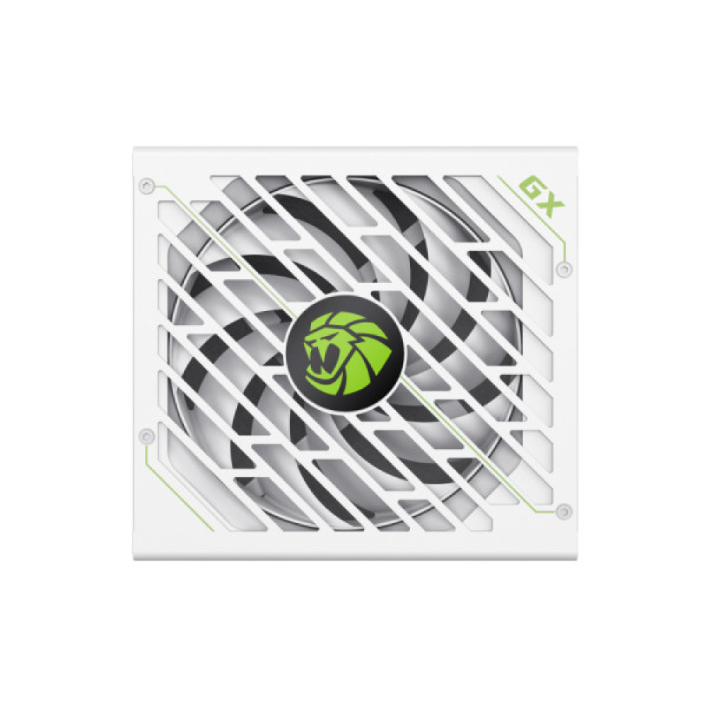 GAMEMAX GX-750 PRO WH(ATX3.1PCIe5.1)