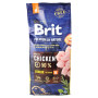 Сухий корм для собак Brit Premium Dog Junior M 15 кг (8595602526338) Сухий корм для собак Brit Premium Dog Junior M 15 кг (8595602526338)