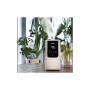 Зволожувач повітря Levoit OasisMist Smart Humidifier LUH-O451S-WEU (HEAPHULVSEU0063Y) Зволожувач повітря Levoit OasisMist Smart Humidifier LUH-O451S-WEU (HEAPHULVSEU0063Y)