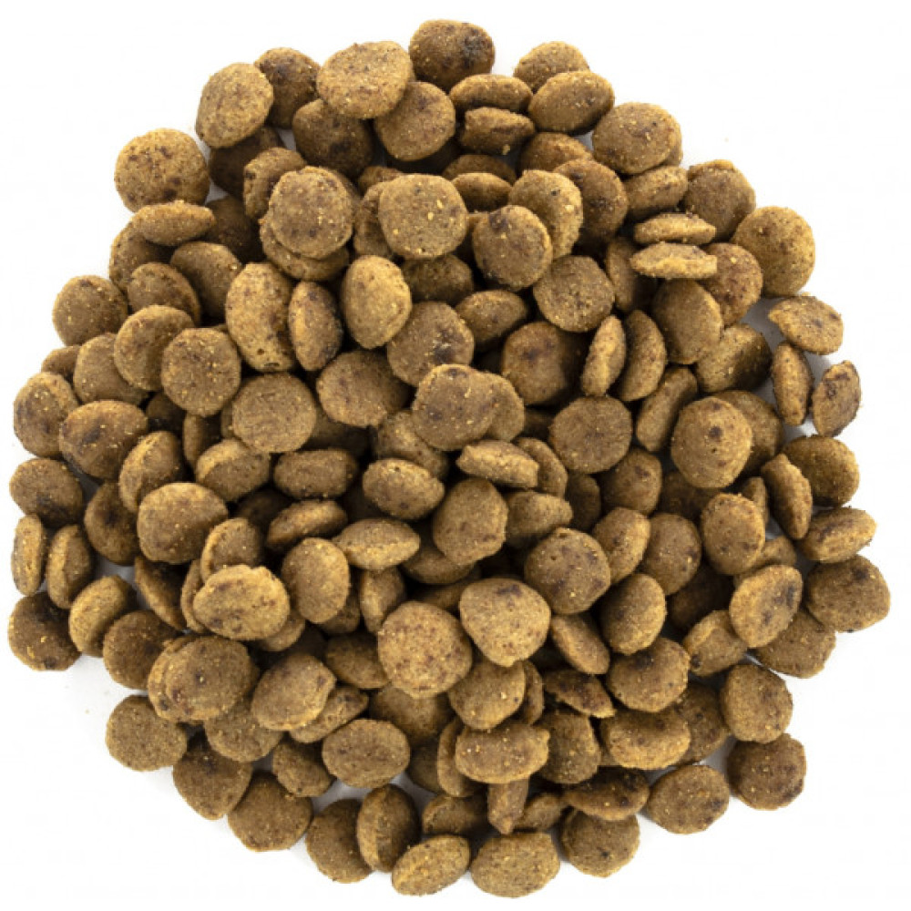Сухий корм для кішок Brit Care Cat GF Large cats Power and Vitality 7 кг (8595602540907)