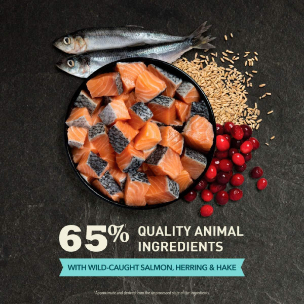 Сухий корм для кішок ACANA Bountiful Catch 4.5 кг (0064992714444)