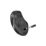 Мишка Defender Prime MB-053 Silent Wireless Black (52053) Мишка Defender Prime MB-053 Silent Wireless Black (52053)